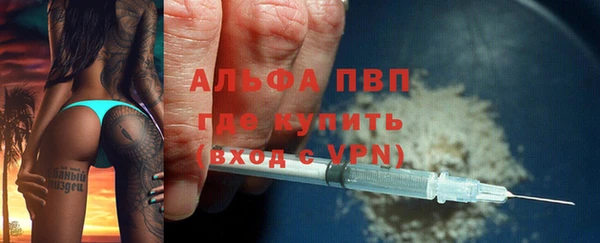 СК Алексин